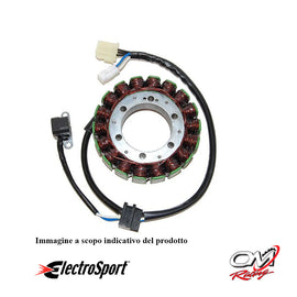 ELECTROSPORT - ESG193 Statore Suzuki LT-A450X (07-09) / LT-A500XP (09-10)