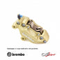 BREMBO - BREMBO 20923010 FRONT FIXED CALIPER 