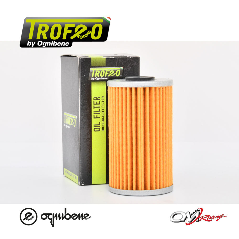 FILTRO OGNIBENE APRILIA DORSODURO 750 Cod.22TR565