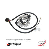 ELECTROSPORT - ESC1370 Statore KX85 / KX100 (06-13)