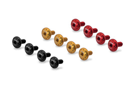 Kit viti cupolino carbonio Ducati Multistrada 1200 S Pikes Peak 2013