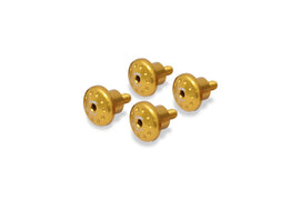 Kit viti cupolino Ducati DesertX