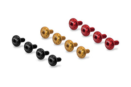 Viteria parafango posteriore Ducati 1199 Panigale R