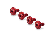 Load image into Gallery viewer, Kit viti sotto codone Ducati Monster