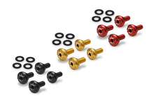 Load image into Gallery viewer, Kit viti parafango anteriore Ducati Multistrada V4 Pikes Peak - RS