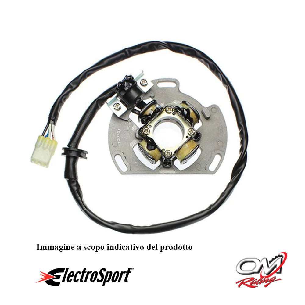 ELECTROSPORT - ESC221 Statore KTM65/85/105 4 poli