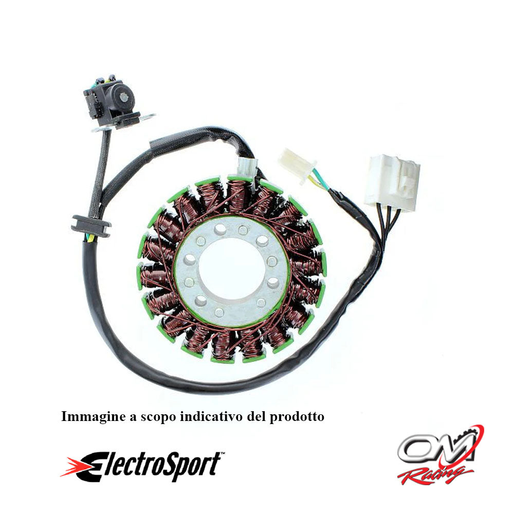 ELECTROSPORT - ESG113 Statore Kawasaki Ninja EX300