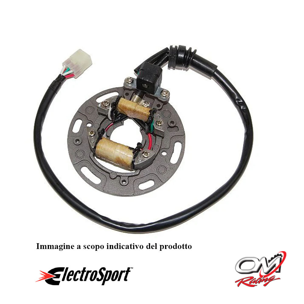 ELECTROSPORT - ESC1357 Statore Kawasaki KX125 (95-97)