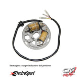 ELECTROSPORT - ESL225 Statore di illuminazione Kawasaki KDX200