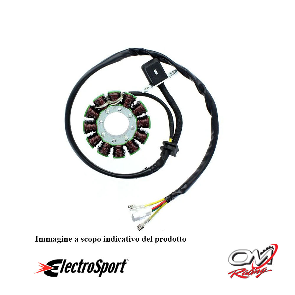 ELECTROSPORT - ESG169 Statore KTM 250 350 ECT