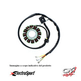 ELECTROSPORT - ESG169 Statore KTM 250 350 ECT