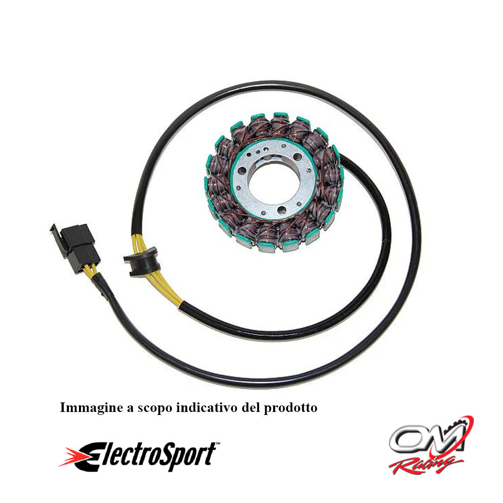 ELECTROSPORT - ESG011 Statore Suzuki GS500E/F (01-10)