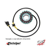 ELECTROSPORT - ESG011 Statore Suzuki GS500E/F (01-10)