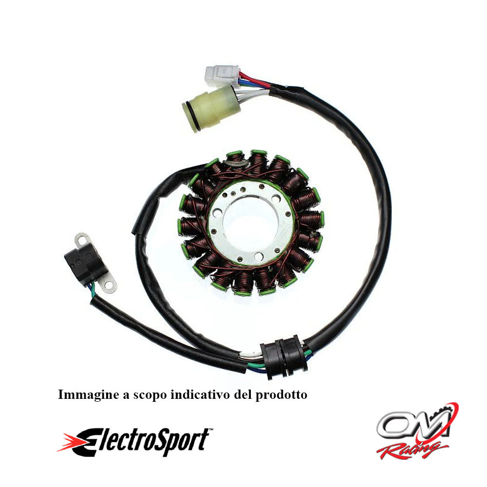 ELECTROSPORT -ESG806 Statore Yamaha YFM250 Big Bear (07-09) / Bruin (05-06)