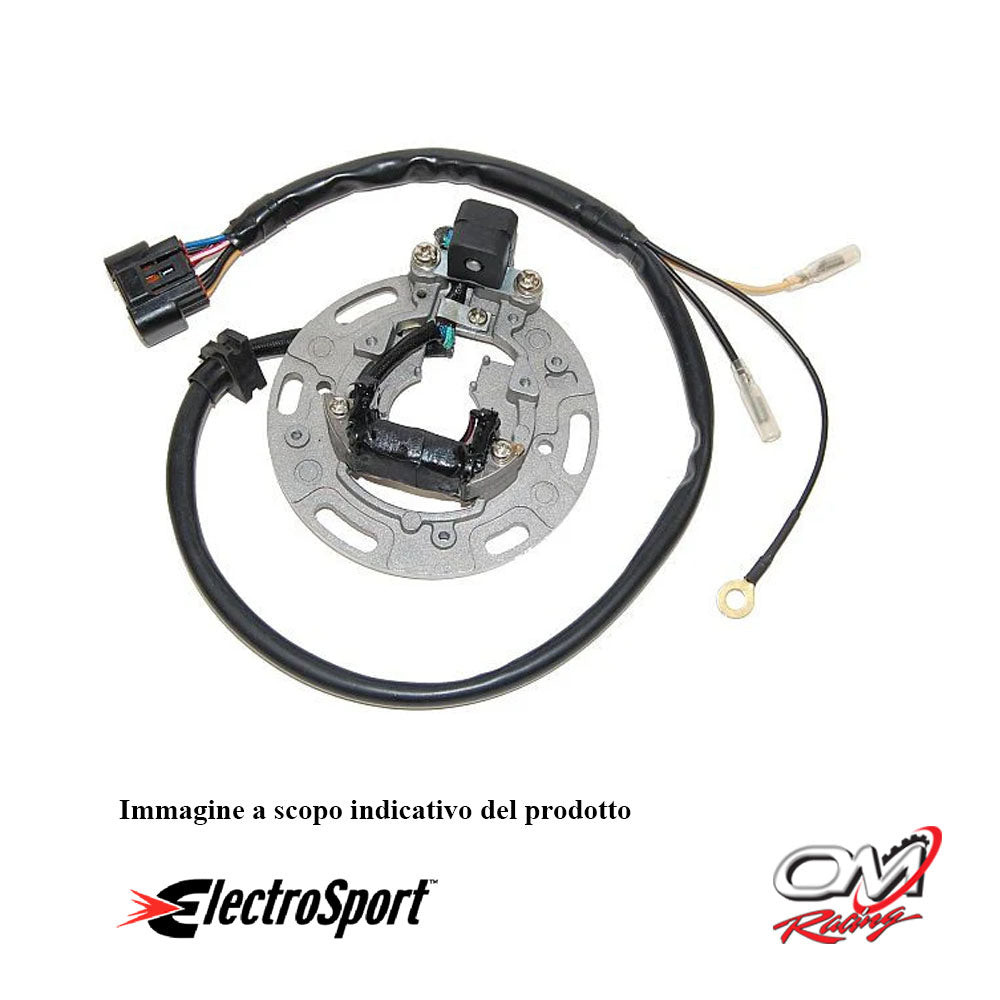 ELECTROSPORT - ESC1366 Statore KX85/100 (01-05)