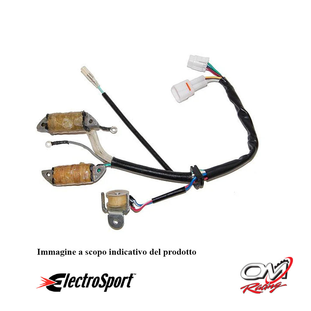 ELECTROSPORT - ESL172 Statore Yamaha YFM50/80 Raptor/Grizzly/Badger