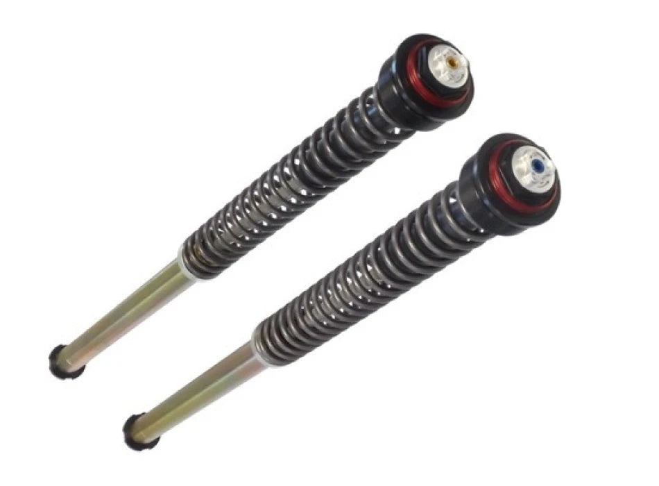 BiTubo Aprilia RSV4 R 2009-2010 – SHOWA FORK – Sospensioni