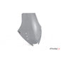PUIG CUPOLINO TOURING PER KAWASAKI GTR1400 10-14 FUME CHIARO