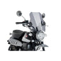 PUIG CUPOLINO UNIV. BAT PER KAWASAKI Z900 20-21 FUME CHIARO