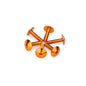 PUIG KIT VITI ANODIZZATE M5 PER CUPOLINI COLORE ARANCIONE 