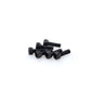 PUIG KIT VITI ANODIZZATE M5 PER CUPOLINI COLORE NERO 