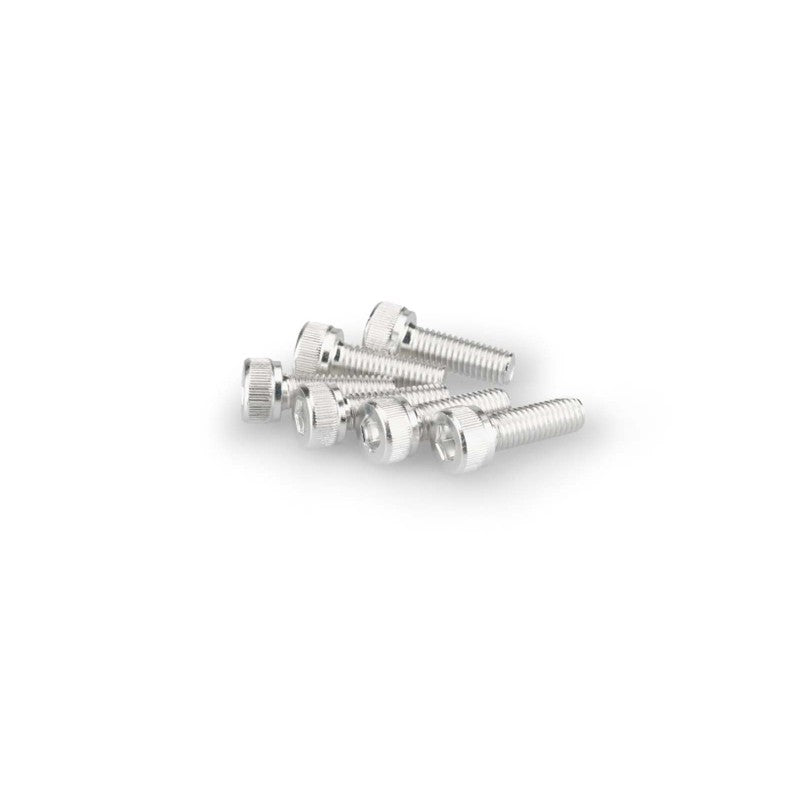 PUIG KIT VITI ANODIZZATE M5 PER CUPOLINI COLORE SILVER 