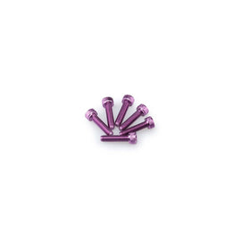 PUIG KIT VITI ANODIZZATE M5 PER CUPOLINI COLORE VIOLA 