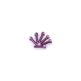 PUIG KIT VITI ANODIZZATE M5 PER CUPOLINI COLORE VIOLA
