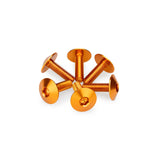PUIG KIT VITI ANODIZZATE M6 PER CUPOLINI COLORE ARANCIONE