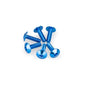 PUIG KIT VITI ANODIZZATE M6 PER CUPOLINI COLORE BLU 