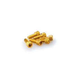 PUIG KIT VITI ANODIZZATE M6 PER CUPOLINI COLORE GIALLO 