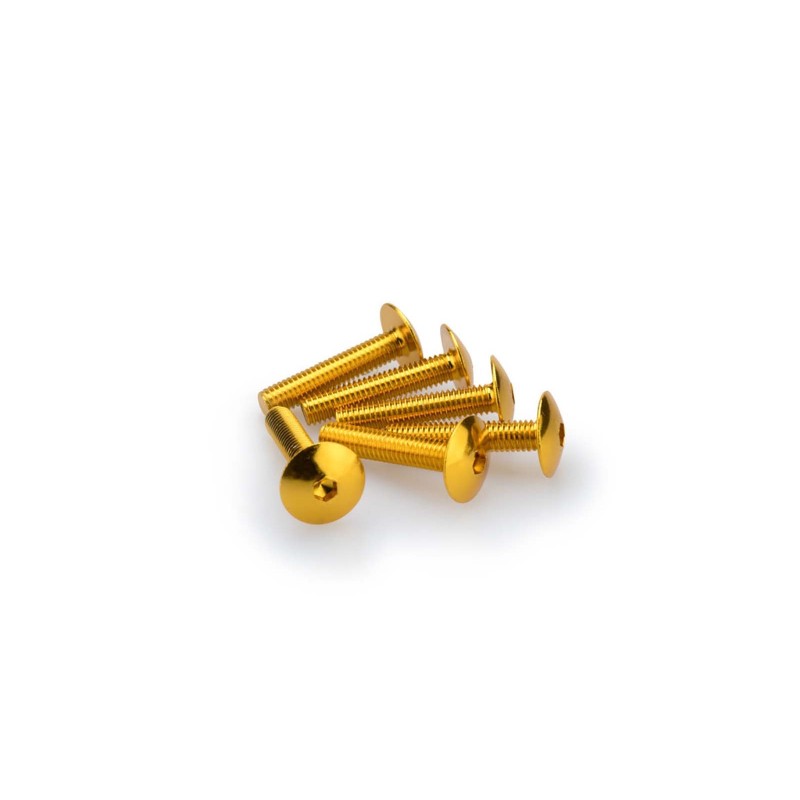 PUIG KIT VITI ANODIZZATE M6 PER CUPOLINI COLORE GIALLO 