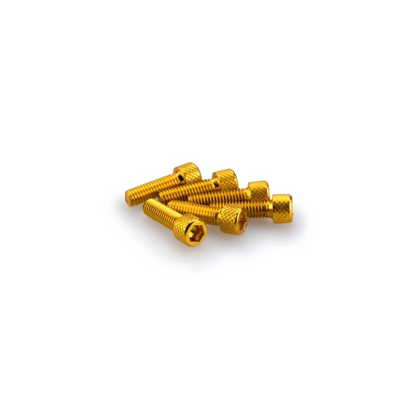 PUIG KIT VITI ANODIZZATE M6 PER CUPOLINI COLORE GIALLO 
