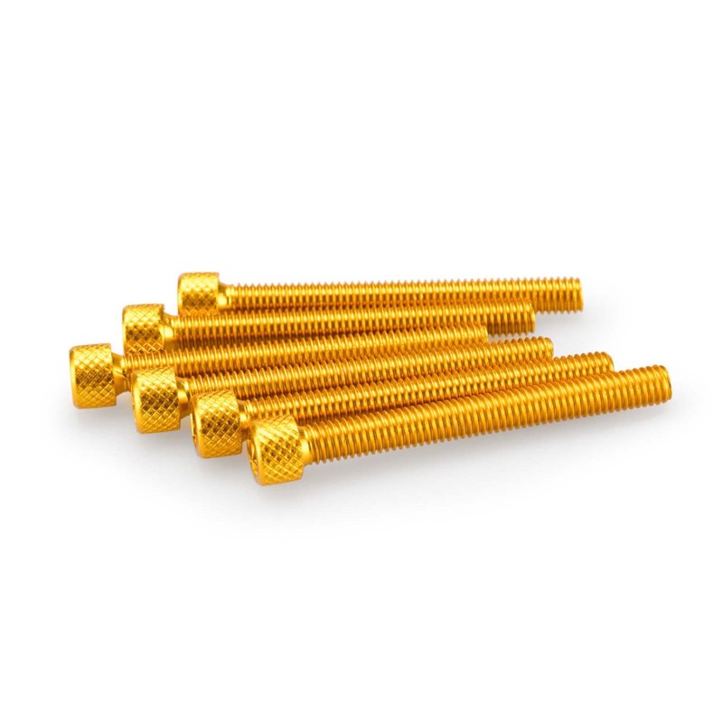 PUIG KIT VITI ANODIZZATE M6 PER CUPOLINI COLORE GIALLO 