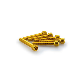 PUIG KIT VITI ANODIZZATE M6 PER CUPOLINI COLORE GIALLO 
