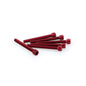 PUIG KIT VITI ANODIZZATE M6 PER CUPOLINI COLORE ROSSO 