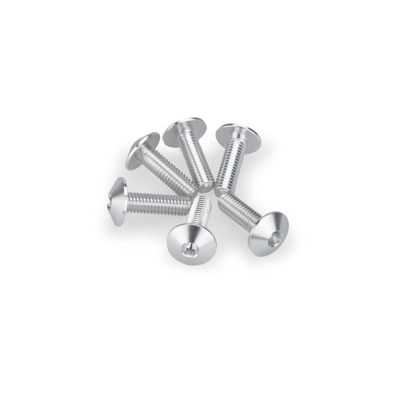 PUIG KIT VITI ANODIZZATE M6 PER CUPOLINI COLORE SILVER 