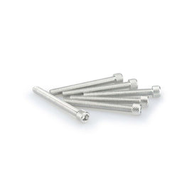 PUIG KIT VITI ANODIZZATE M6 PER CUPOLINI COLORE SILVER 