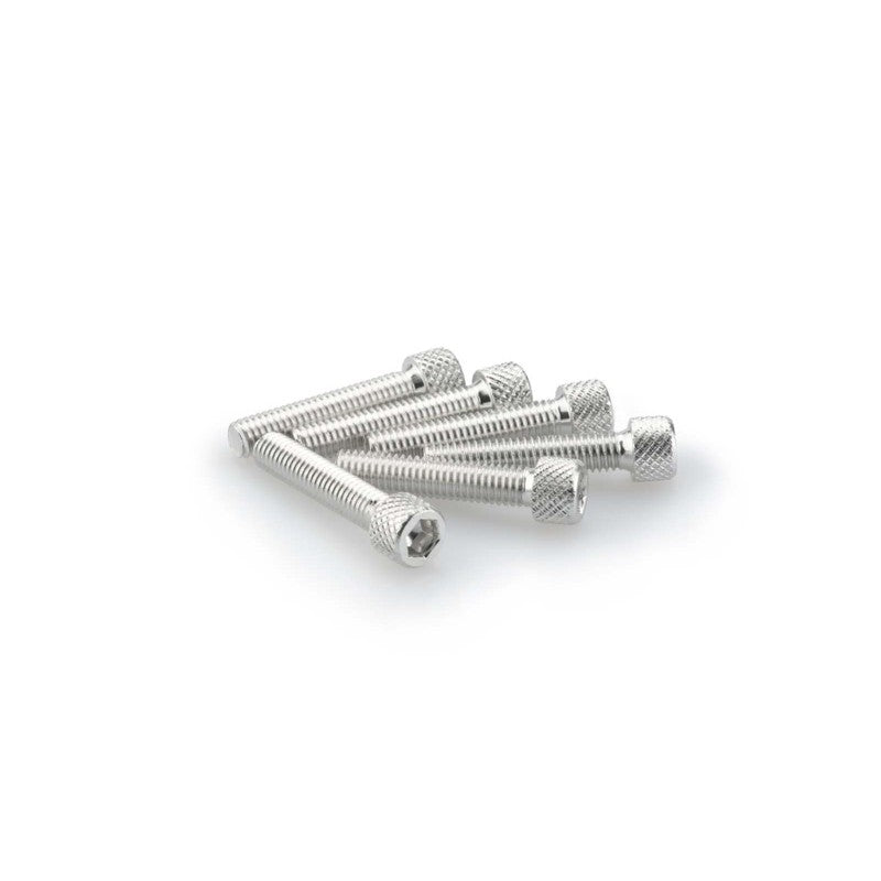 PUIG KIT VITI ANODIZZATE M6 PER CUPOLINI COLORE SILVER 