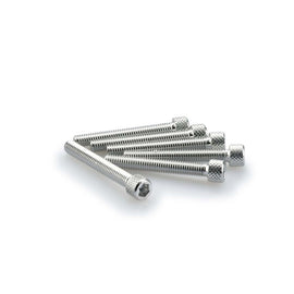 PUIG KIT VITI ANODIZZATE M6 PER CUPOLINI COLORE SILVER 