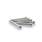 PUIG KIT VITI ANODIZZATE M6 PER CUPOLINI COLORE SILVER 