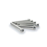 PUIG KIT VITI ANODIZZATE M6 PER CUPOLINI COLORE SILVER