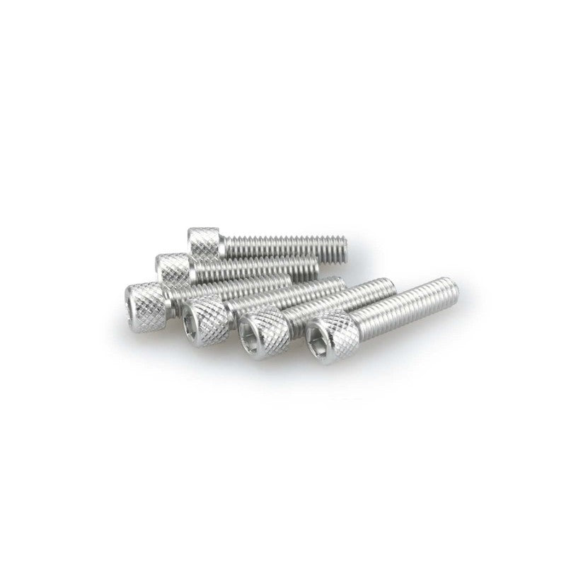 PUIG KIT VITI ANODIZZATE M6 PER CUPOLINI COLORE SILVER 