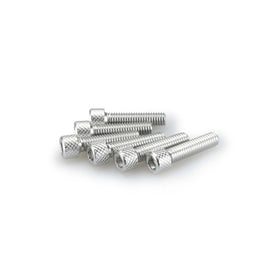 PUIG KIT VITI ANODIZZATE M6 PER CUPOLINI COLORE SILVER 