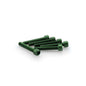 PUIG KIT VITI ANODIZZATE M6 PER CUPOLINI COLORE VERDE 