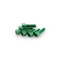 PUIG KIT VITI ANODIZZATE M6 PER CUPOLINI COLORE VERDE 