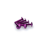 PUIG KIT VITI ANODIZZATE M6 PER CUPOLINI COLORE VIOLA