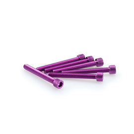 PUIG KIT VITI ANODIZZATE M6 PER CUPOLINI COLORE VIOLA 