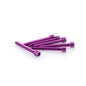 PUIG KIT VITI ANODIZZATE M6 PER CUPOLINI COLORE VIOLA 