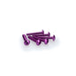 PUIG KIT VITI ANODIZZATE M6 PER CUPOLINI COLORE VIOLA 